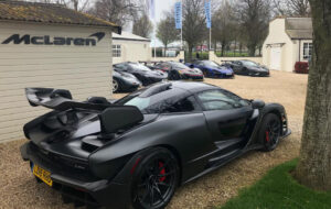 Image of 2018 McLaren Senna - read more